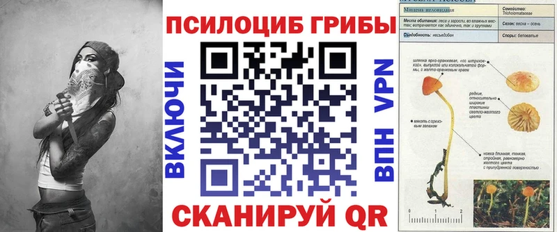 даркнет какой сайт  Щёлково  Псилоцибиновые грибы Cubensis  OMG ONION 