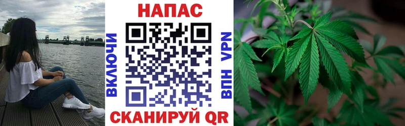 Бошки марихуана планчик Щёлково